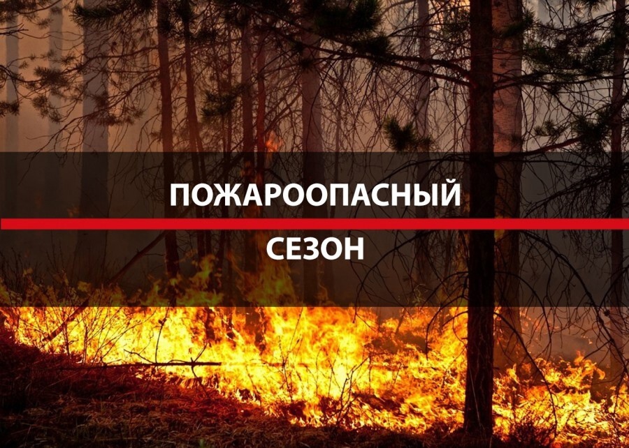 С 11.04.2025 г. на территории Пировского лесничества устанавливается пожароопасный сезон.