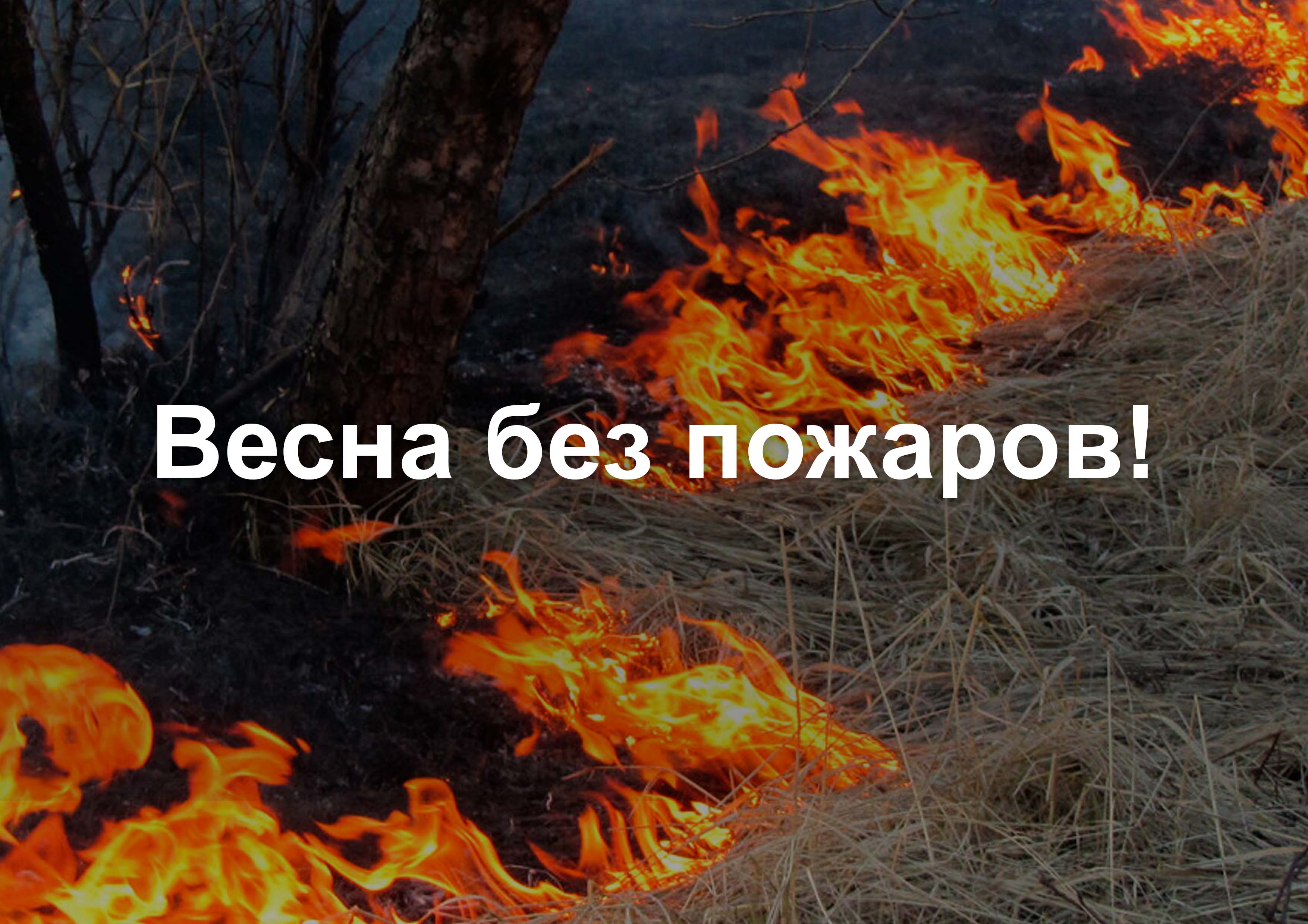 Весна без пожаров!.