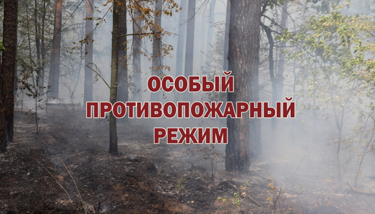Особый противопожарный режим с 1 по 4 мая 2025 г. на территории Пировского муниципального округа. Особый противопожарный режим с 1 по 4 мая 2025 г. на территории Пировского муниципального округа.